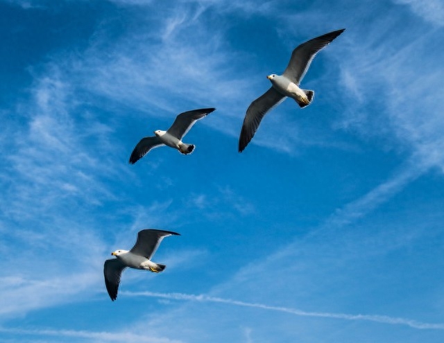 勇于追求梦想，做自己(图2)