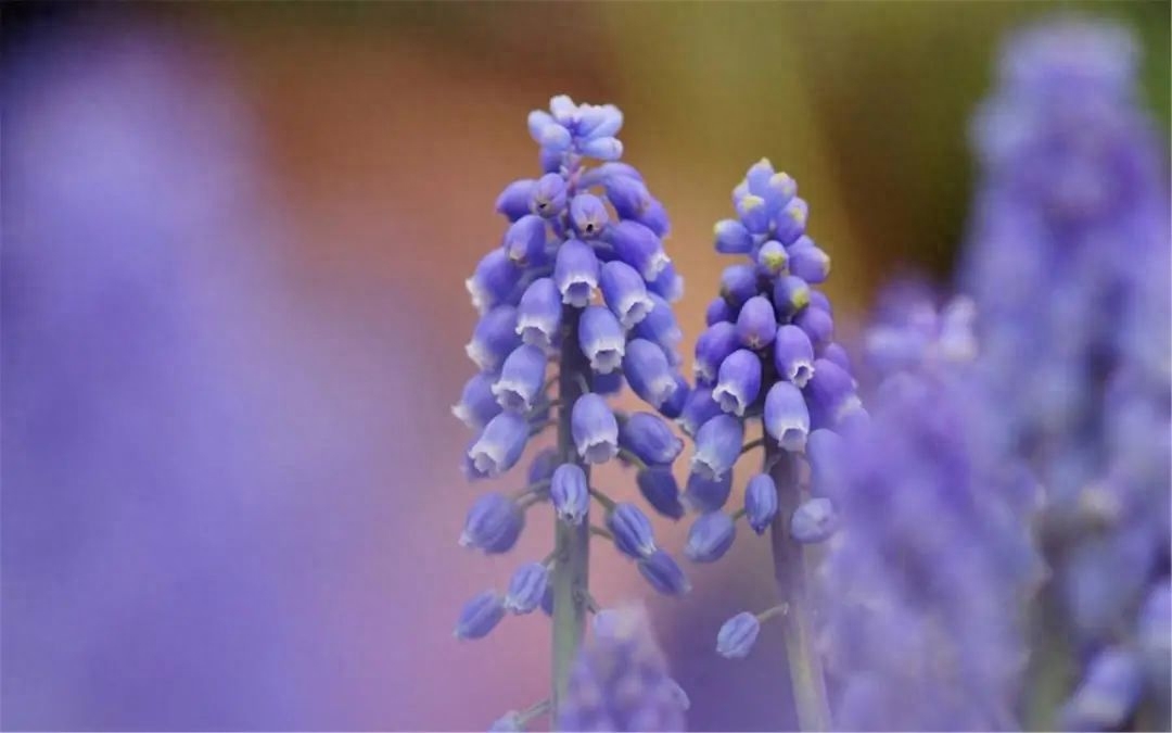 家人聚会温馨的祝福语，句句温馨(图1)