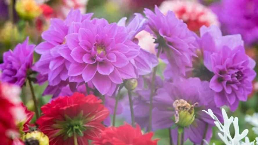 家人聚会温馨的祝福语，句句温馨(图3)