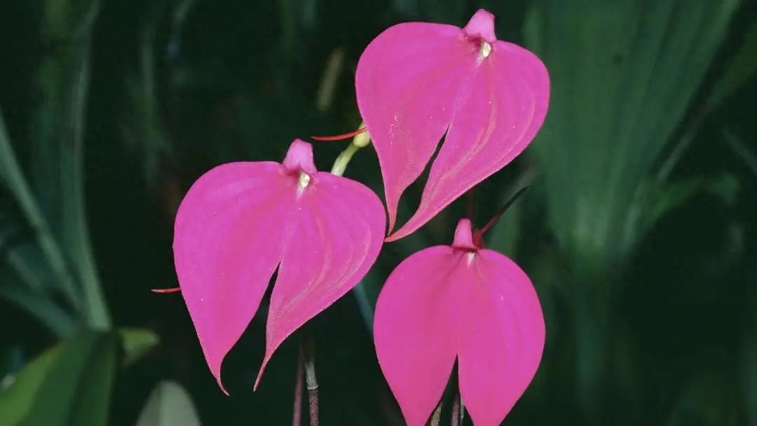 家人聚会温馨的祝福语，句句温馨(图5)