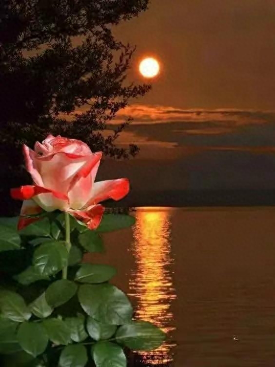 中秋心语：中秋月圆，福乐相伴，让我们感受家和亲情的温暖！(图1)