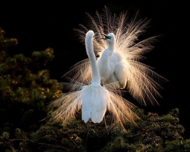 感人时刻：全网父母不知的家人相聚笑中带泪的温馨瞬间(图1)