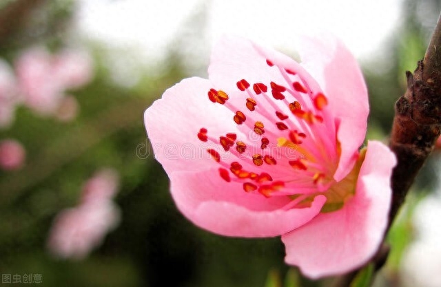 清晨热血沸腾的励志心语，活成小太阳，闪闪发光(图2)