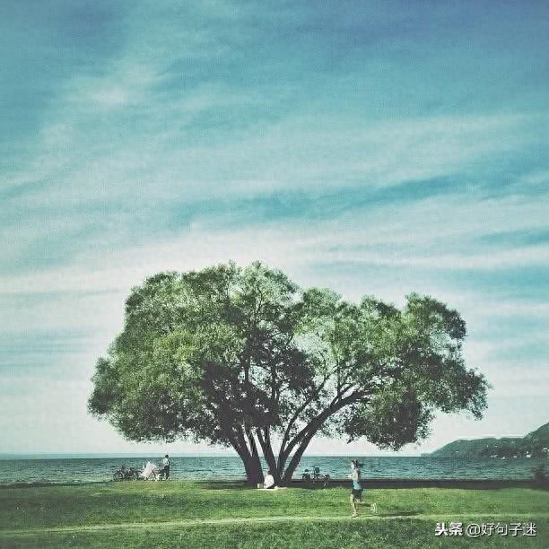 激励人生的正能量句子，超燃超励志，让你霸气逆袭！(图3)