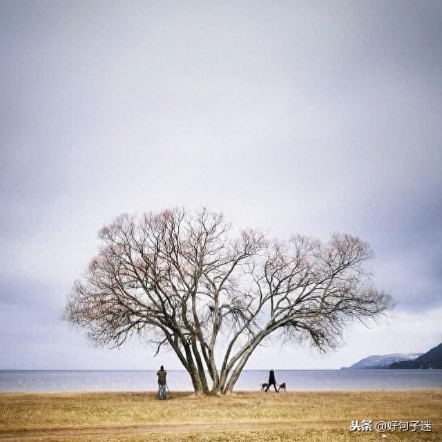 激励人生的正能量句子，超燃超励志，让你霸气逆袭！(图4)