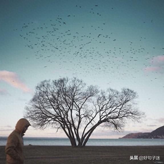 激励人生的正能量句子，超燃超励志，让你霸气逆袭！(图5)