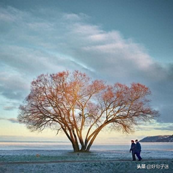 激励人生的正能量句子，超燃超励志，让你霸气逆袭！(图6)