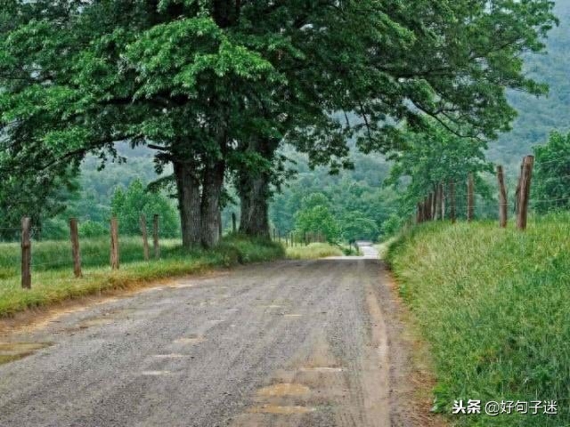 激励人生的正能量句子，超燃超励志，让你霸气逆袭！(图8)