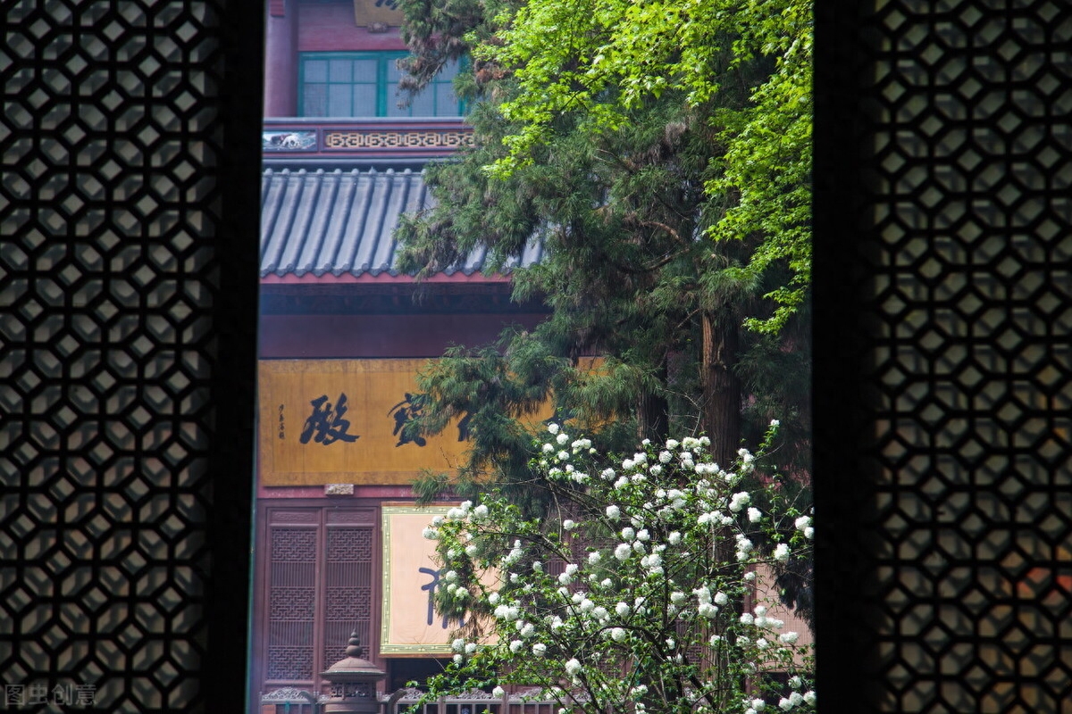 向阳而生,自有海阔天空,万千繁花(图5) 向阳而生,自有海阔天空,万千繁花(图5)