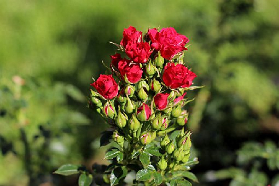 阳光励志的句子，感悟深刻，早读早受益(图4)