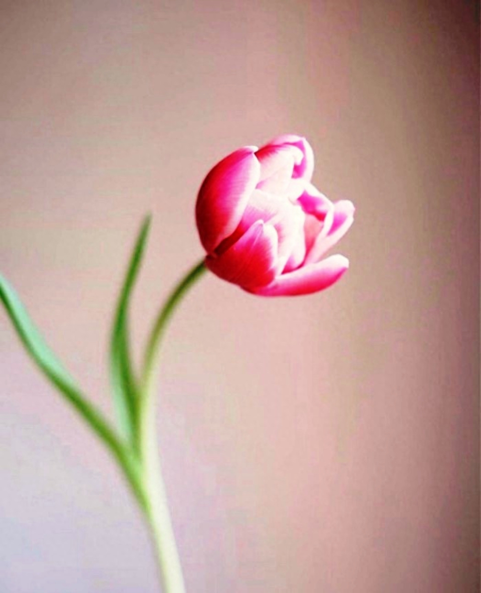 正能量激励人的好句子，感悟深刻，早读早受益(图3)