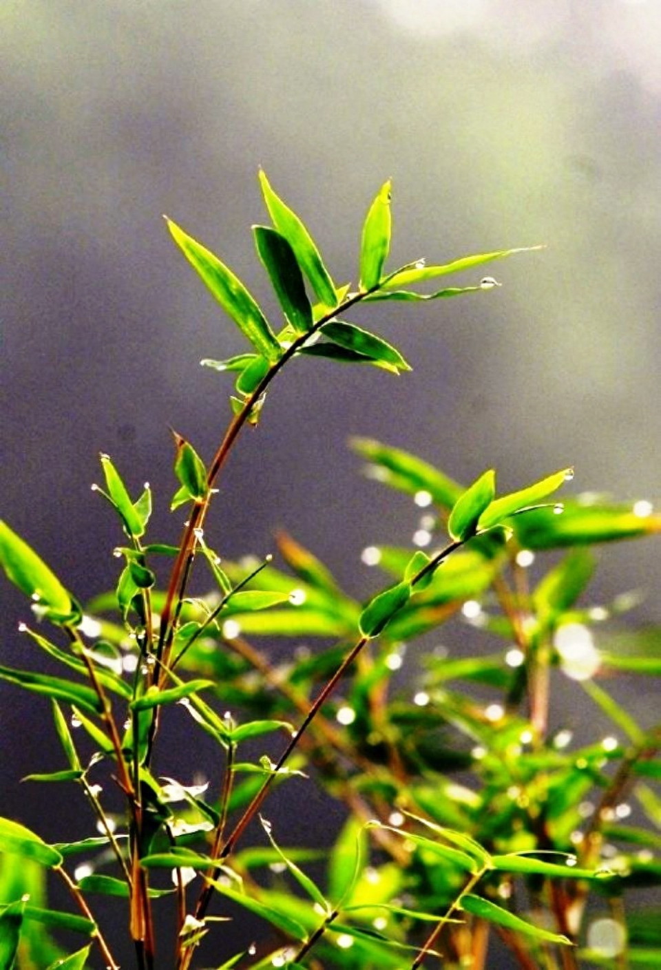 正能量激励人的好句子，感悟深刻，早读早受益(图7)