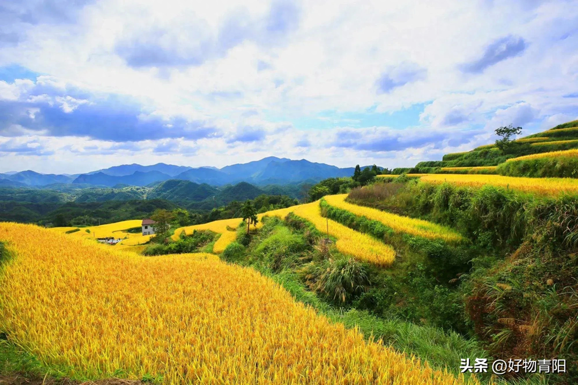 有一种情感，叫做永恒的怀念。纵使岁月流转，时光荏苒...(图2)