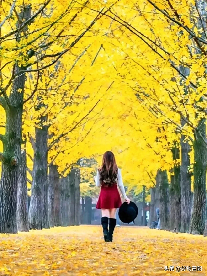 有一种情感，叫做永恒的怀念。纵使岁月流转，时光荏苒...(图3)