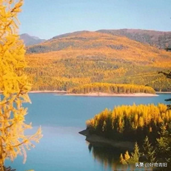 有一种情感，叫做永恒的怀念。纵使岁月流转，时光荏苒...(图4)