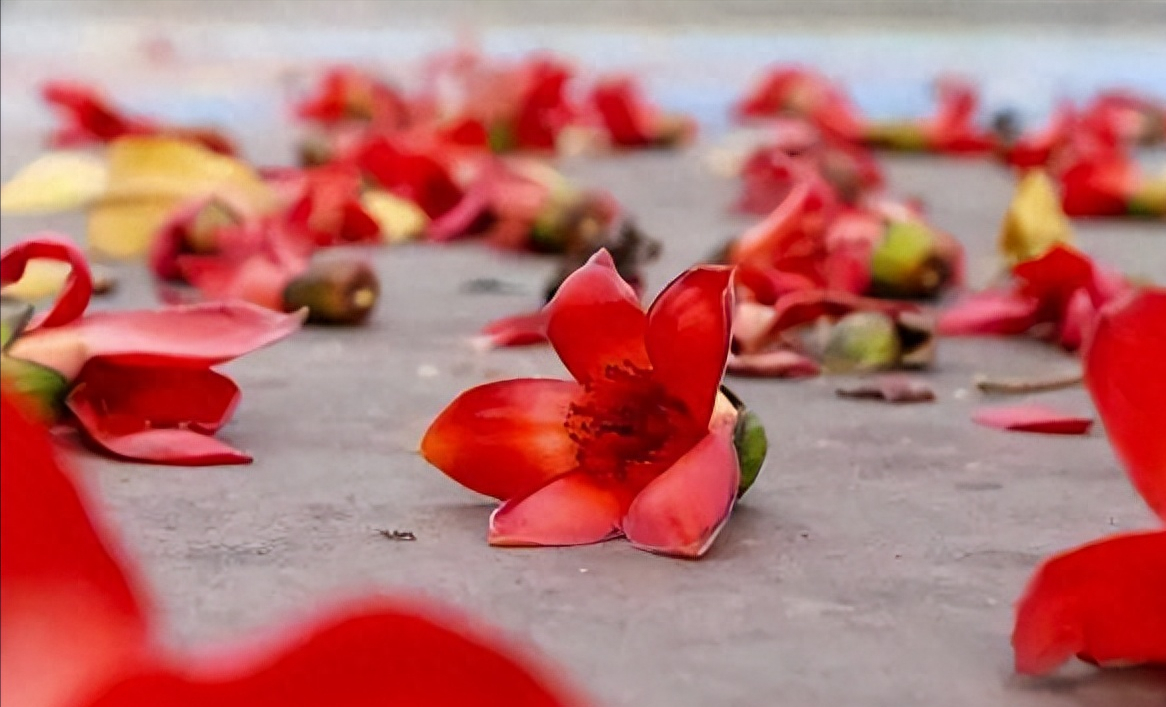 相遇一程，怀念一生(图1)