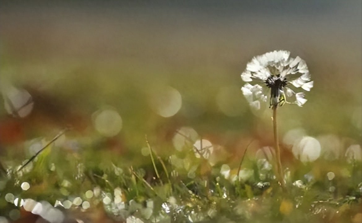 相遇一程，怀念一生(图2)