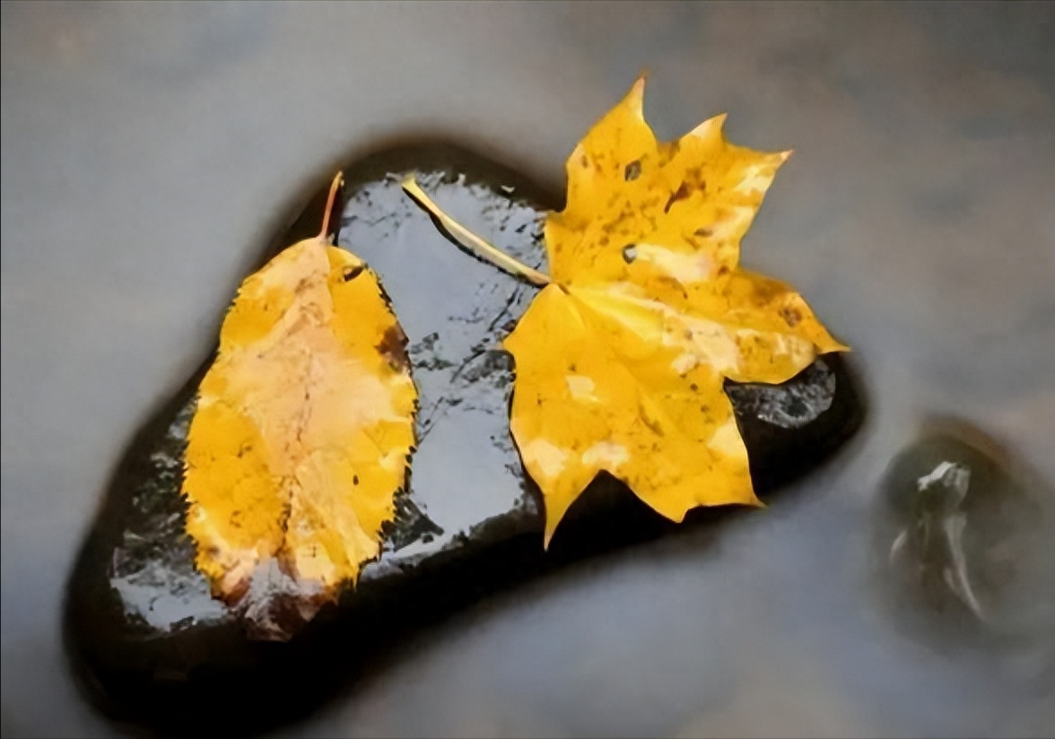 相遇一程，怀念一生(图3)