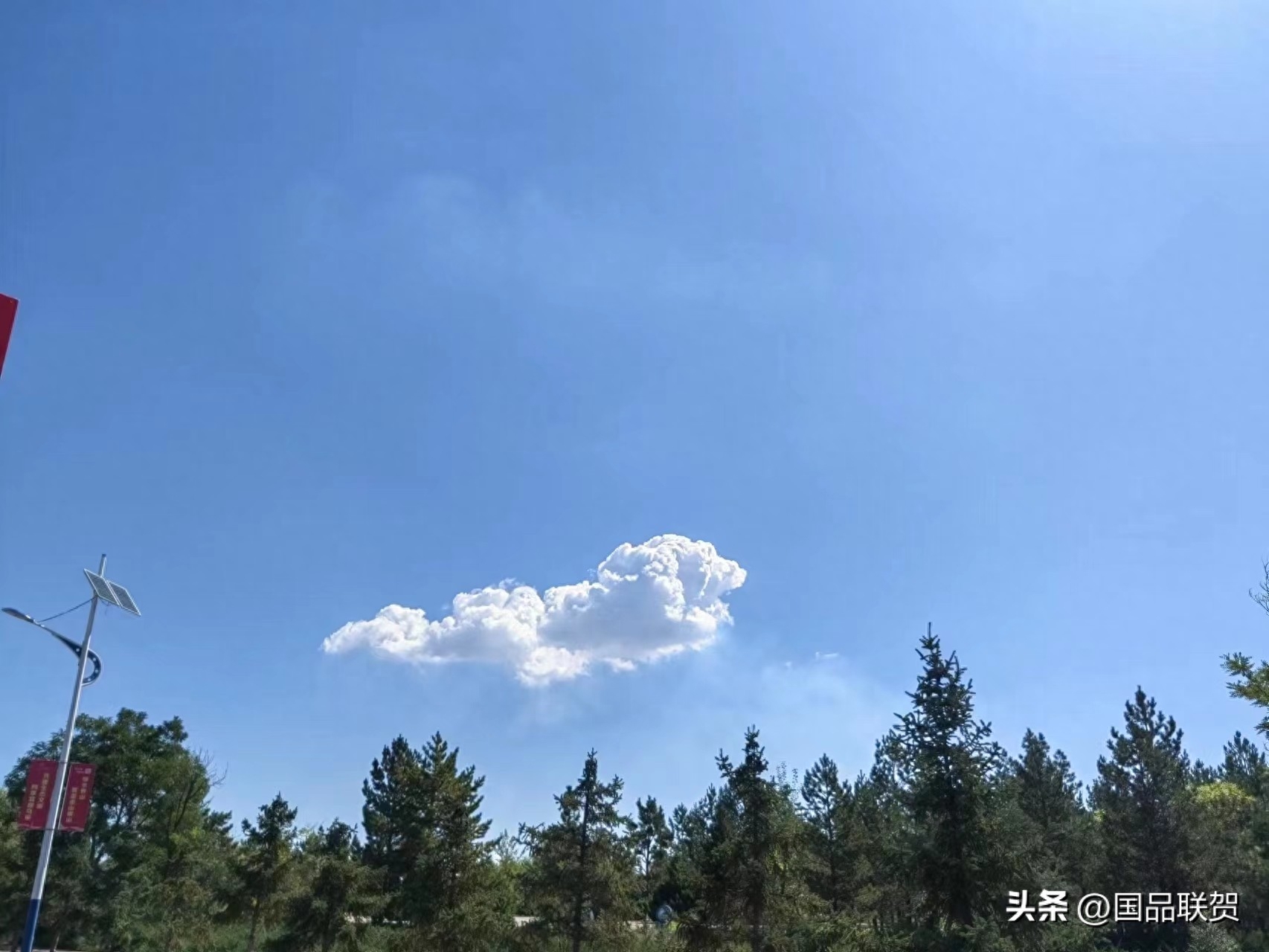 唯美早安文案（精选380句）(图3)