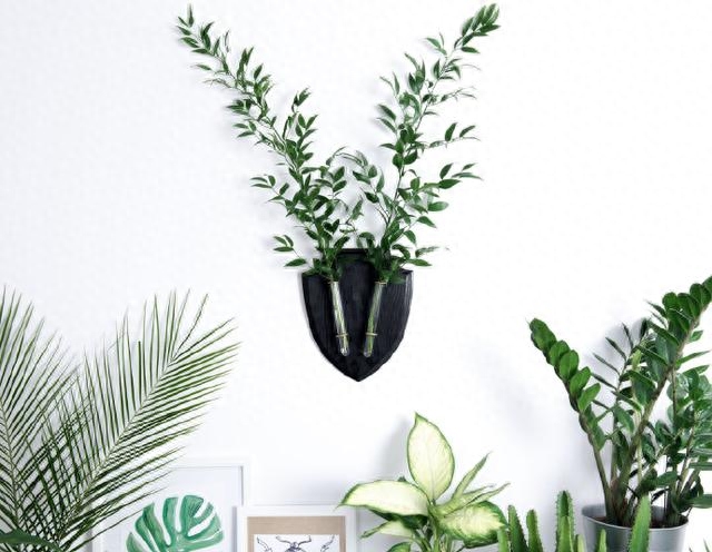 早上积极向上的文案，唯美精致，触动人心！(图2)