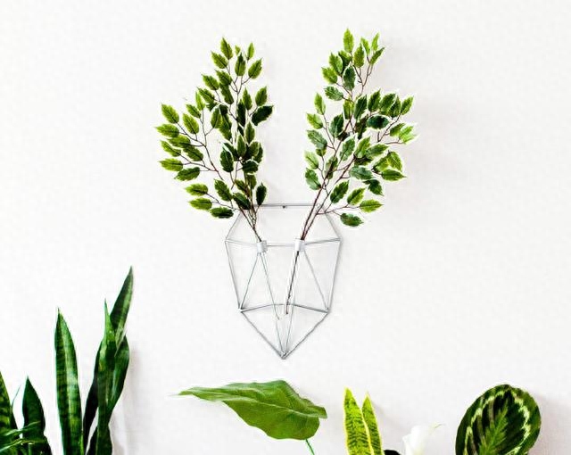 早上积极向上的文案，唯美精致，触动人心！(图5)