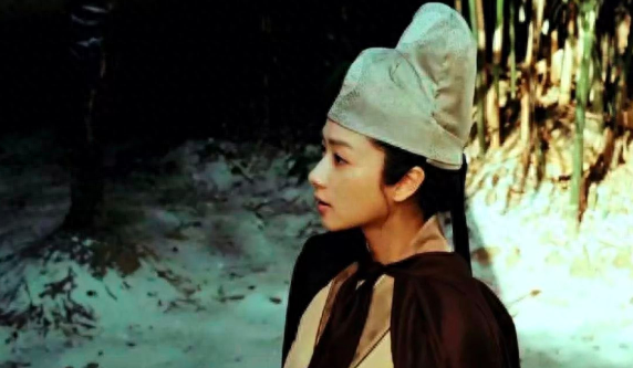 秦淮八艳，为什么陈寅恪只给柳如是做传记？原因很简单(图5)