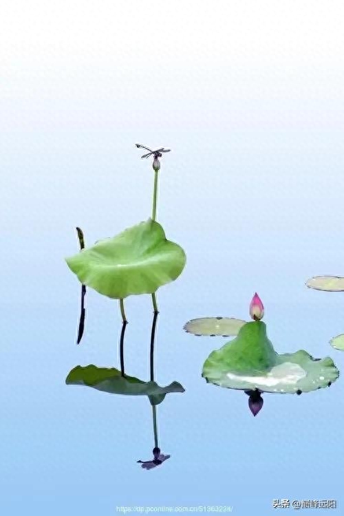 美荷之赋(图3) 美荷之赋(图3)