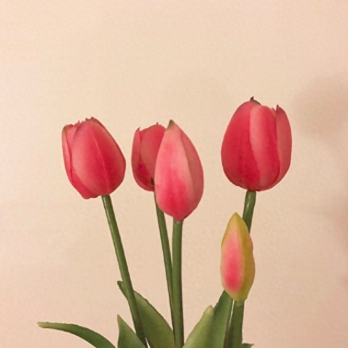 很经典不会过时的秀恩爱文案(图1)