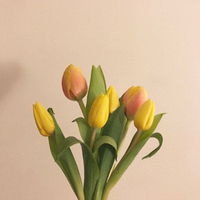 很经典不会过时的秀恩爱文案(图2)