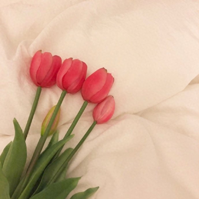 很经典不会过时的秀恩爱文案(图4)