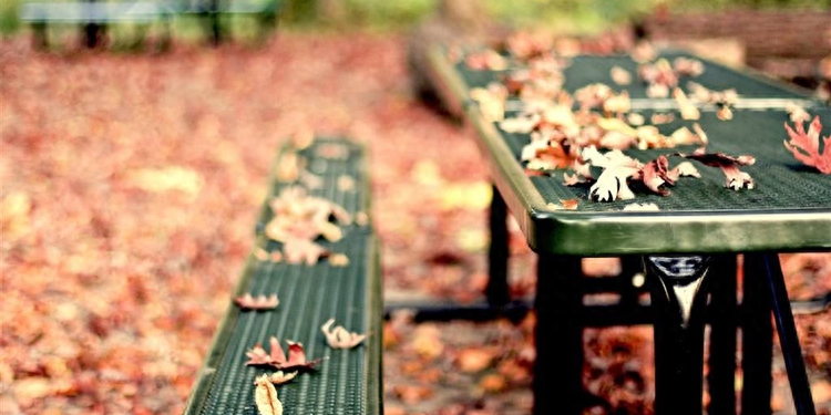 夫妻秀恩爱的说说心情 搞笑夫妻秀恩爱的句子(图1)