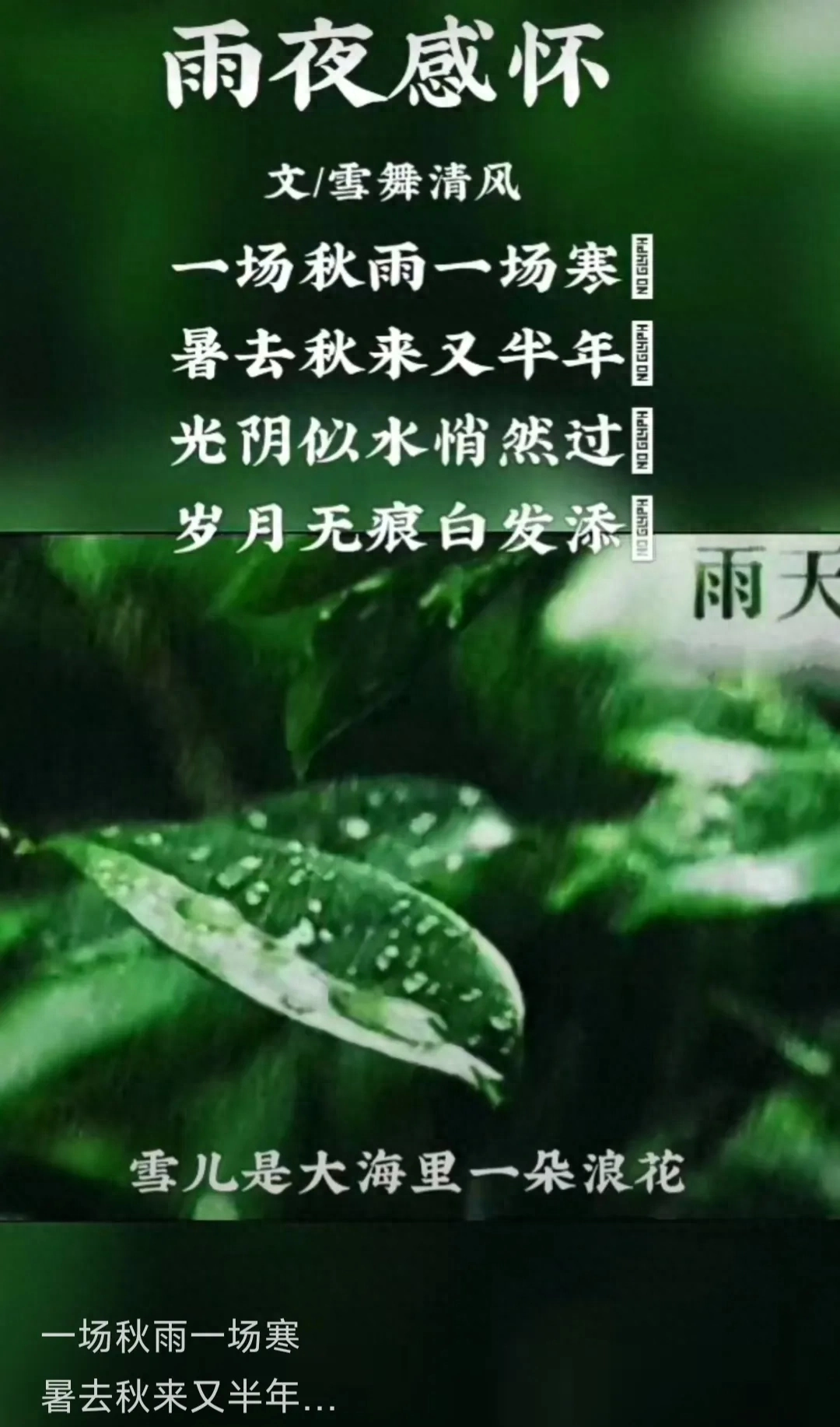 同学相聚本幸事，今日因何却伤感？愿病者康健、苍生无病无灾(图1)