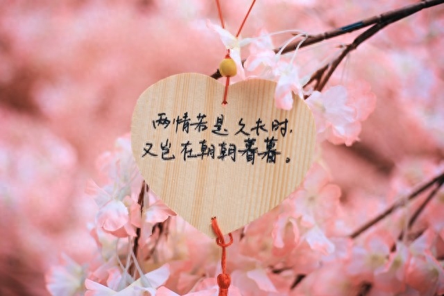 Best Quotes On Love！唯美浪漫，英文爱情美句欣赏(图5)
