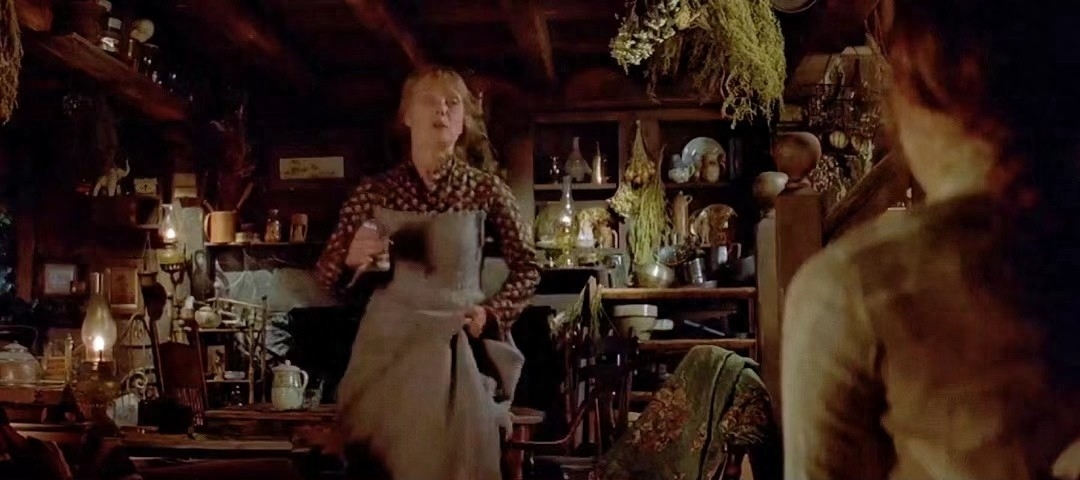 生如夏花，死如秋叶，森林里的贵族童话(图7)