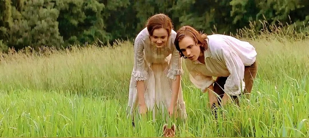 生如夏花，死如秋叶，森林里的贵族童话(图12)