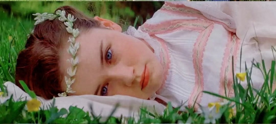 生如夏花，死如秋叶，森林里的贵族童话(图16)