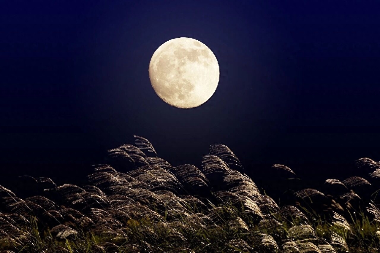 阴晴圆缺都休说，且喜人间好时节——中秋，心有明月，千古无缺(图10)