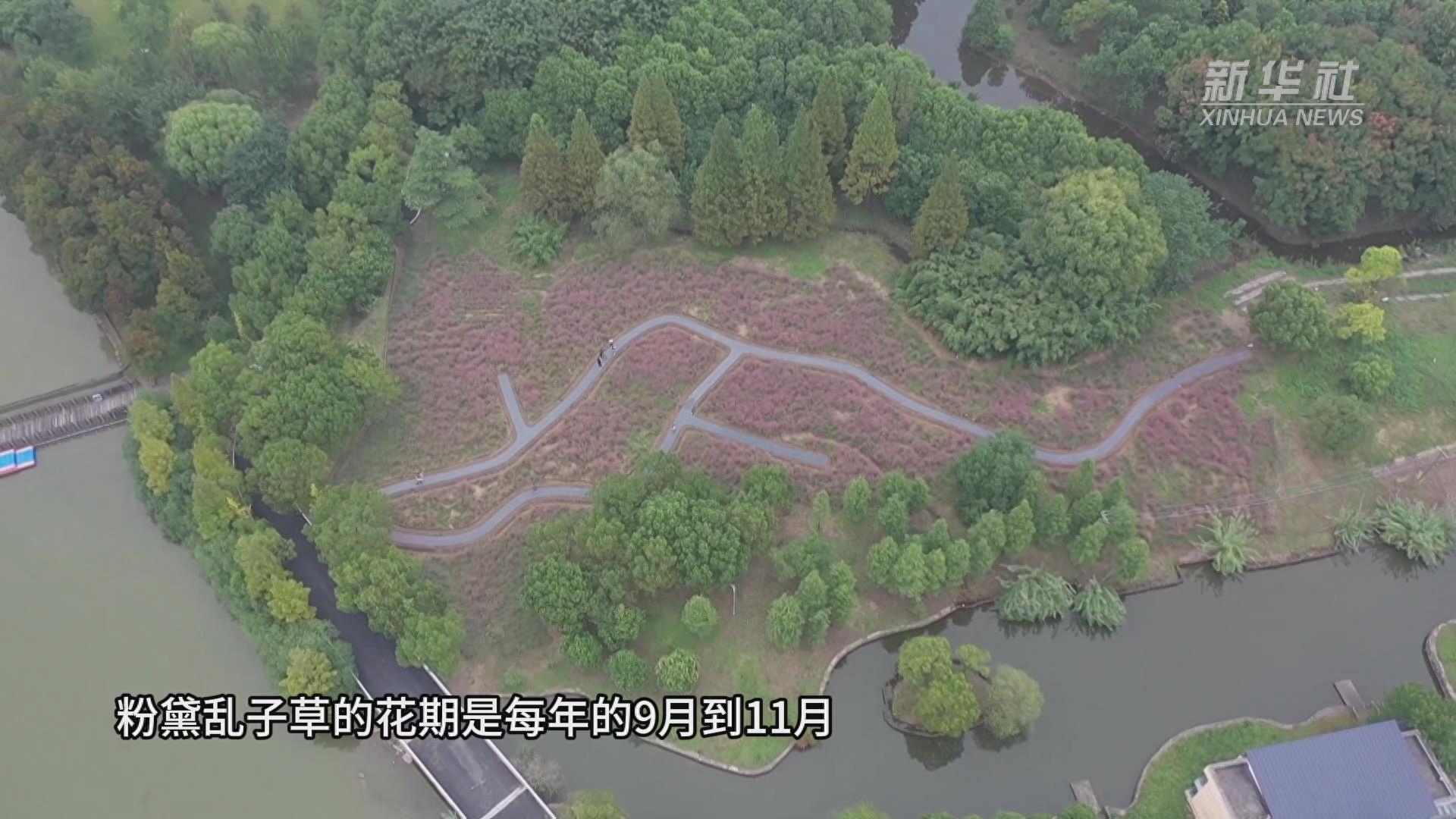 上海：来崇明森林旅游节共赏秋色盛宴(图2)