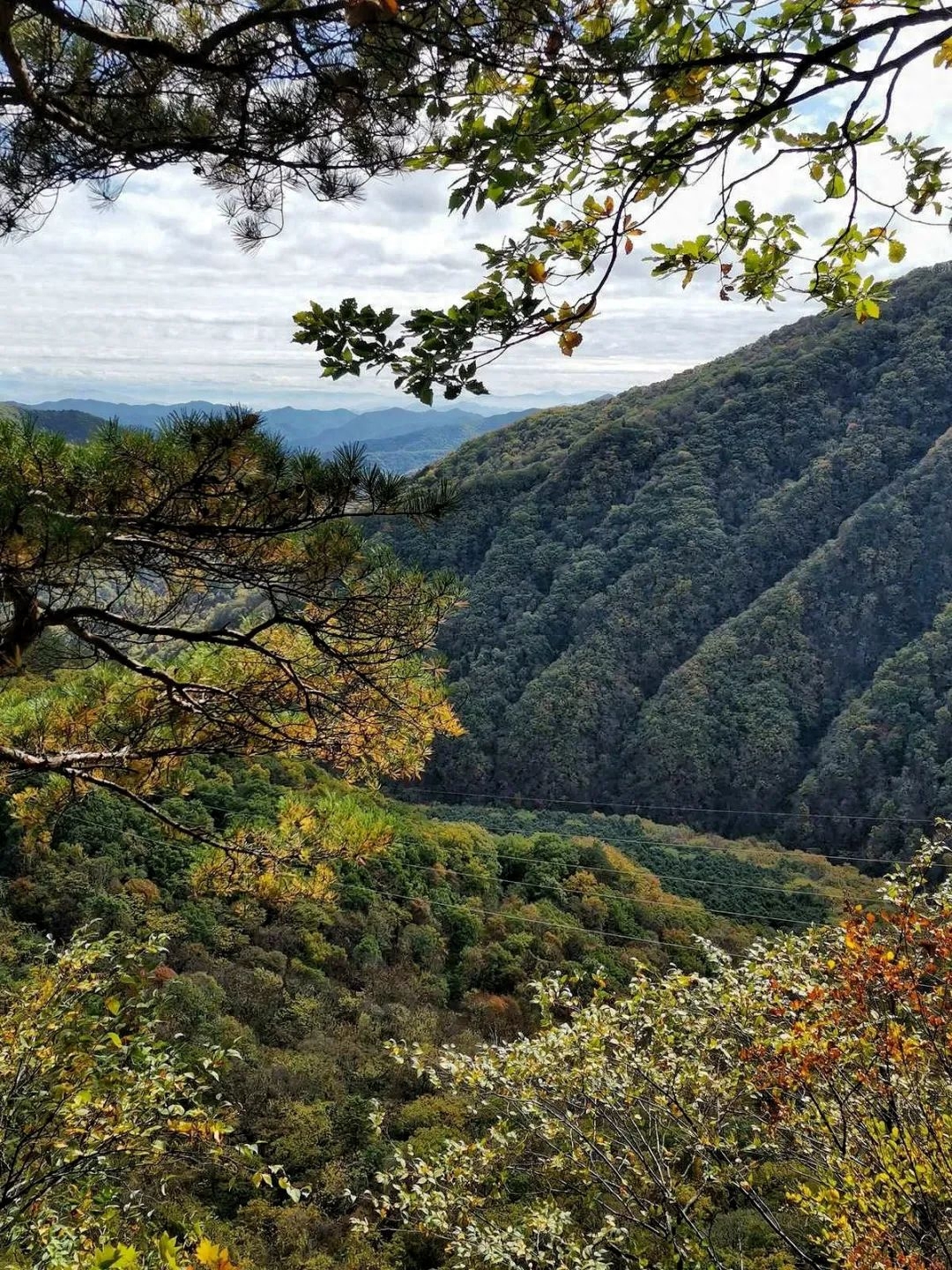 赏红叶“天花板”！这个秋天，总要去爬一次五女峰吧！(图8)