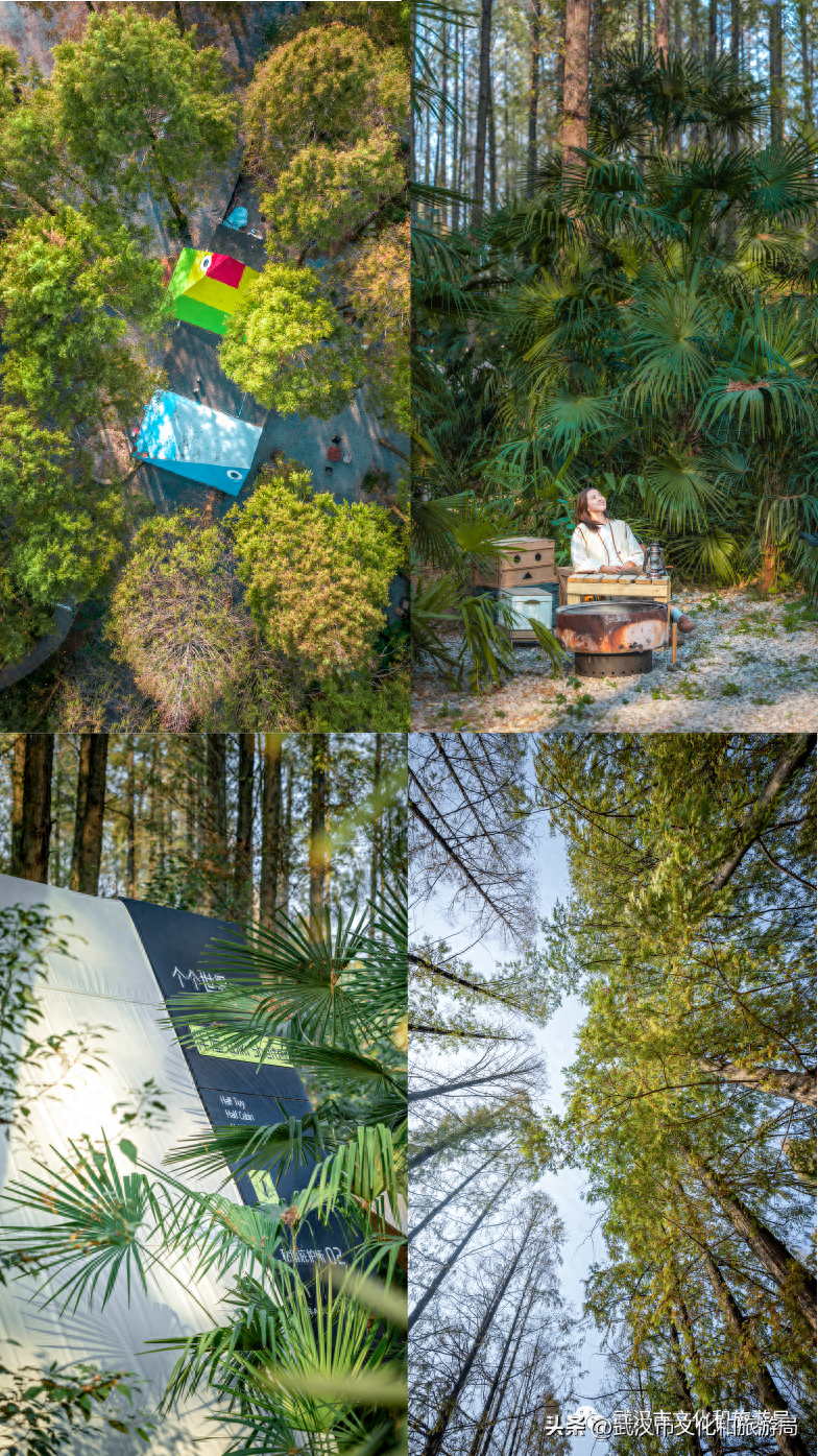 武汉夏日美宿节最后一波，送你住进森林里！(图3)