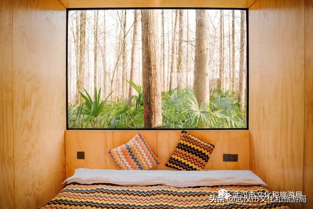 武汉夏日美宿节最后一波，送你住进森林里！(图4)