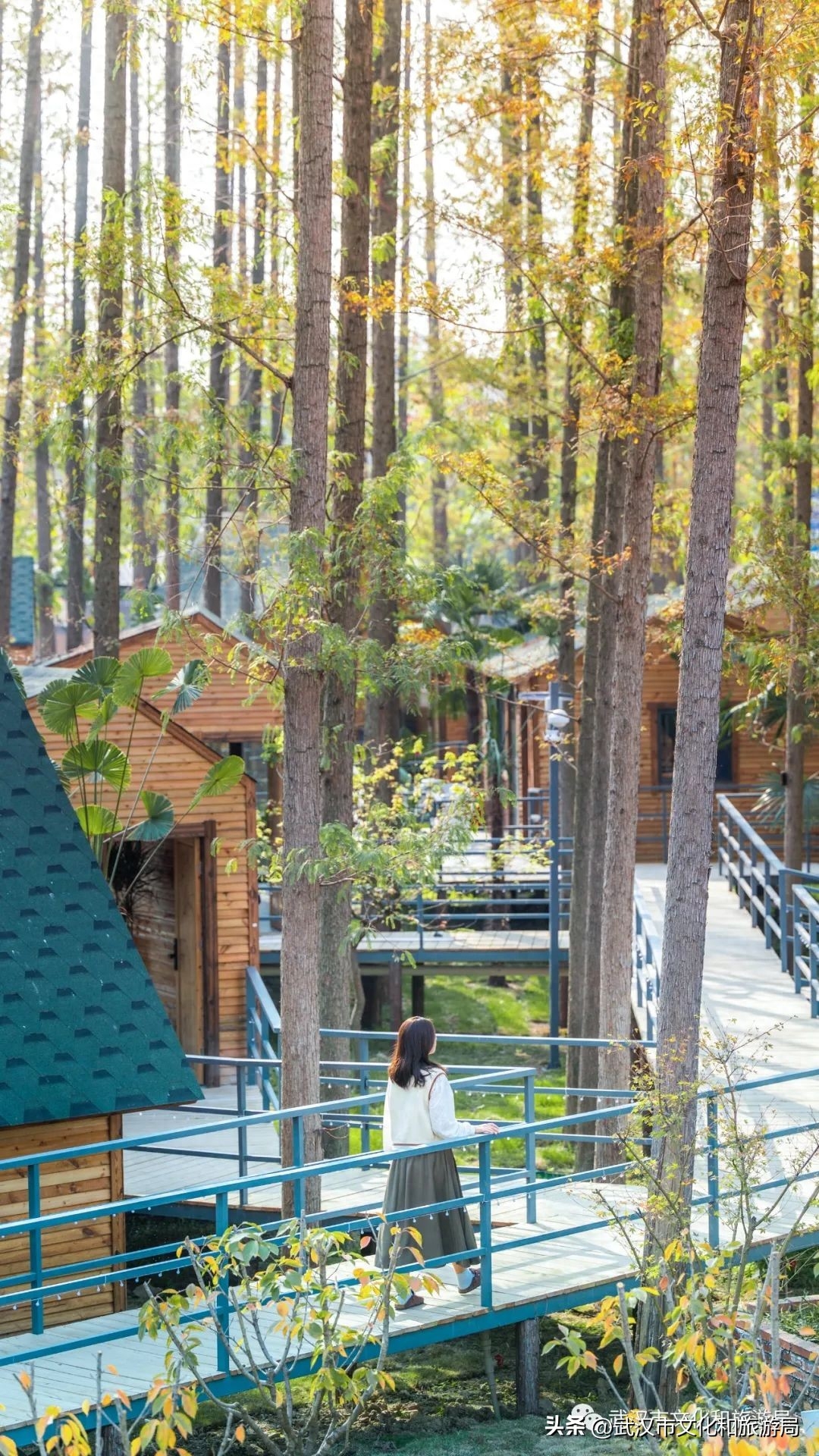 武汉夏日美宿节最后一波，送你住进森林里！(图7)