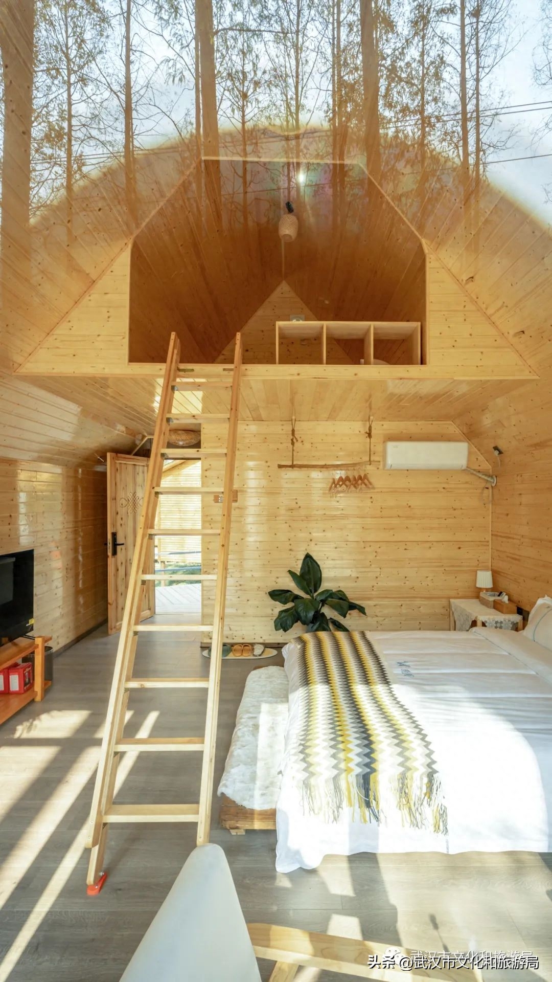 武汉夏日美宿节最后一波，送你住进森林里！(图8)