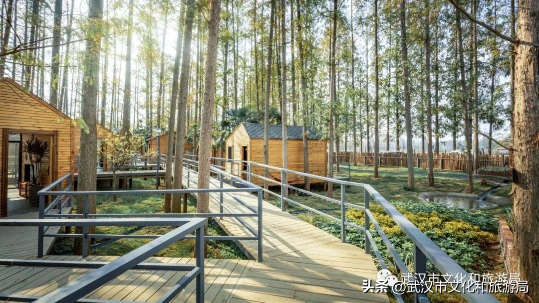 武汉夏日美宿节最后一波，送你住进森林里！(图10)