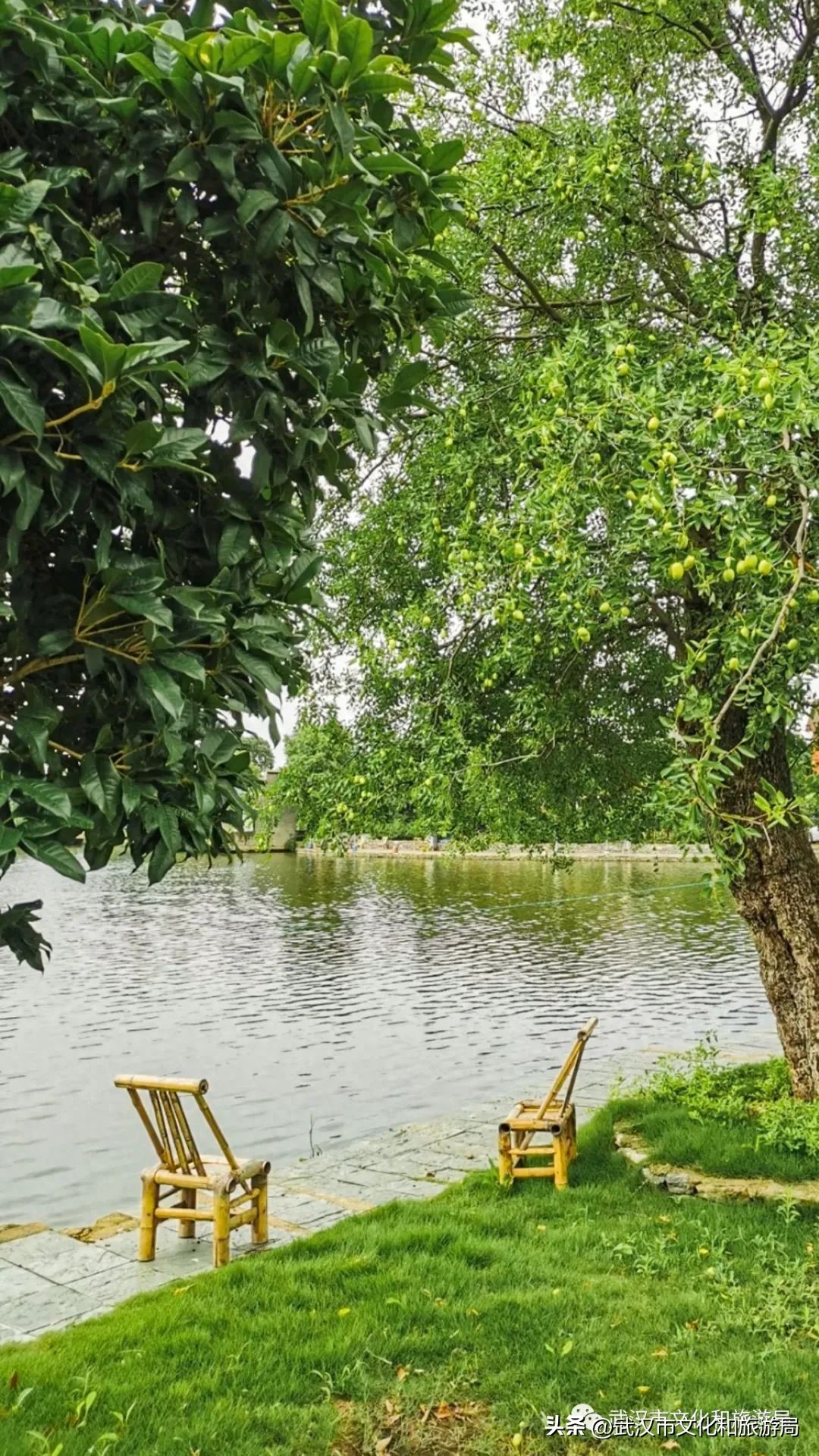 武汉夏日美宿节最后一波，送你住进森林里！(图15)