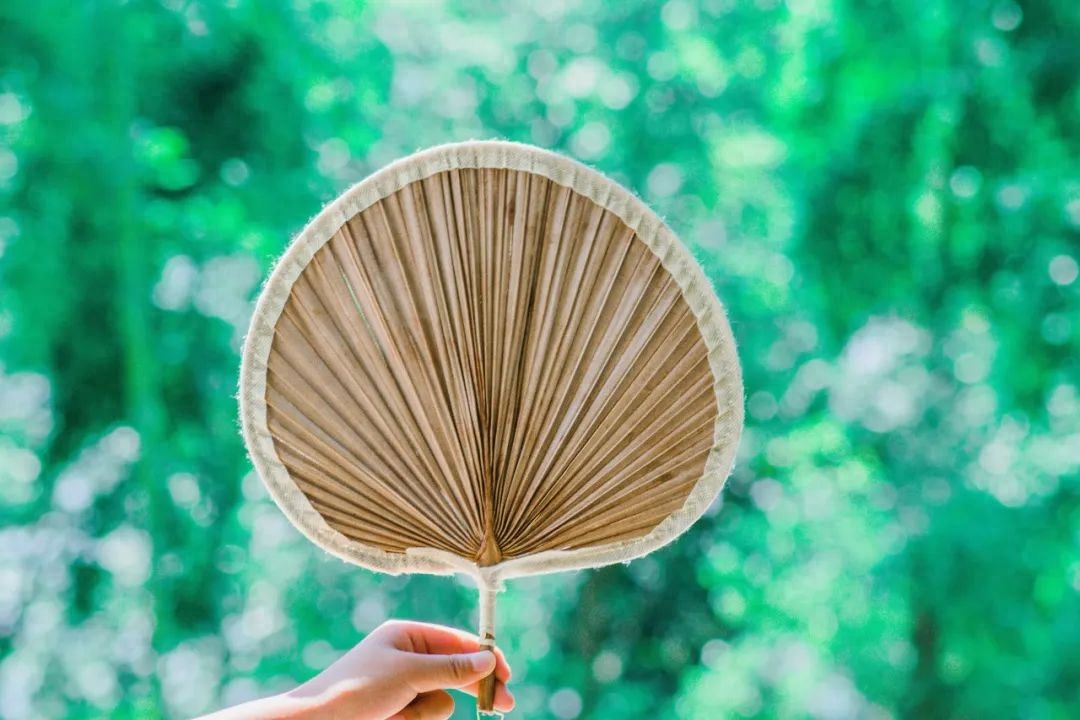 100句夏日诗词，荷花香，晚风凉，悠悠夏日长(图5)