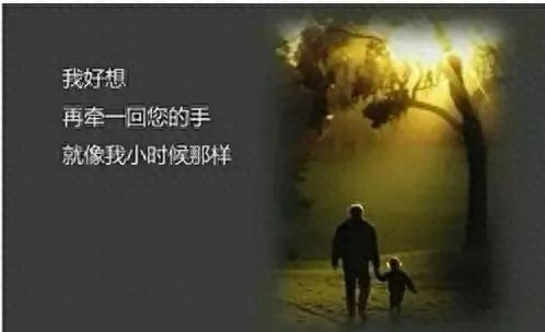 清明思念天堂的亲人，一秒泪崩的短文(图9)