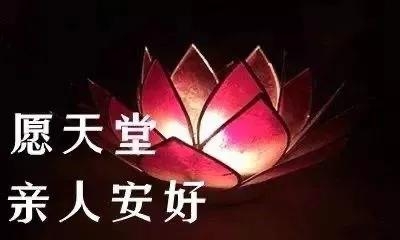 清明思念天堂的亲人，一秒泪崩的短文(图10)