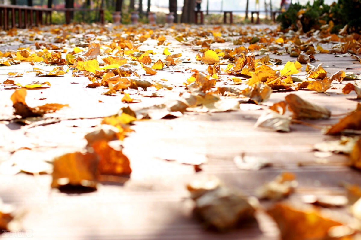 原创首发｜父亲去世两周年祭：上坟帖(图3)