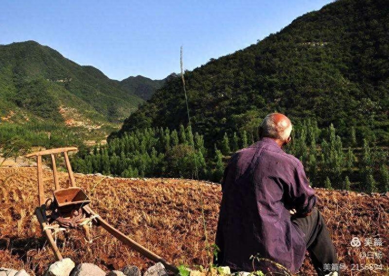 父亲节——泣血之言怀念父亲(图9)